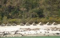 Rishikesh Marine Drive Camping Packages
